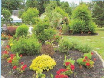 Memorial garden planting detail